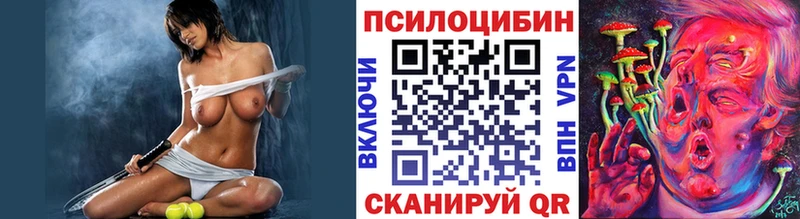 shop наркотические препараты  Новая Ляля  Галлюциногенные грибы MAGIC MUSHROOMS 